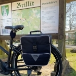 Einzeltasche Black Line 3.0